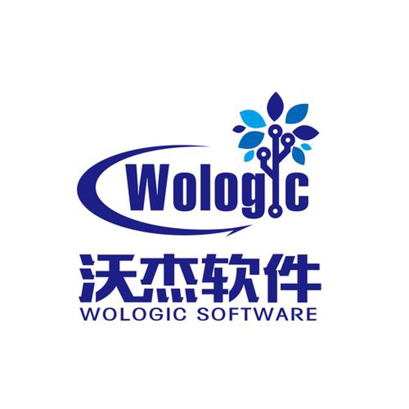 上海软件开发选购指南：寻找最佳合作伙伴的几点建议